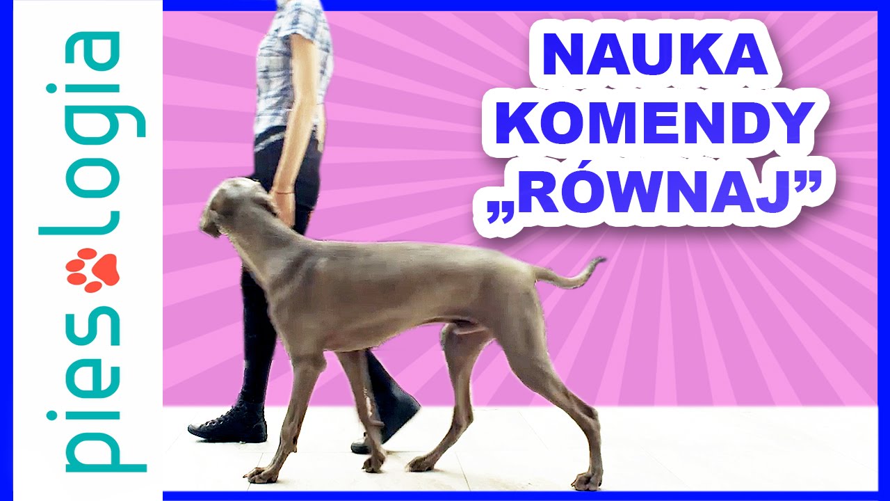 RÓWNAJ czyli dostawienie do nogi