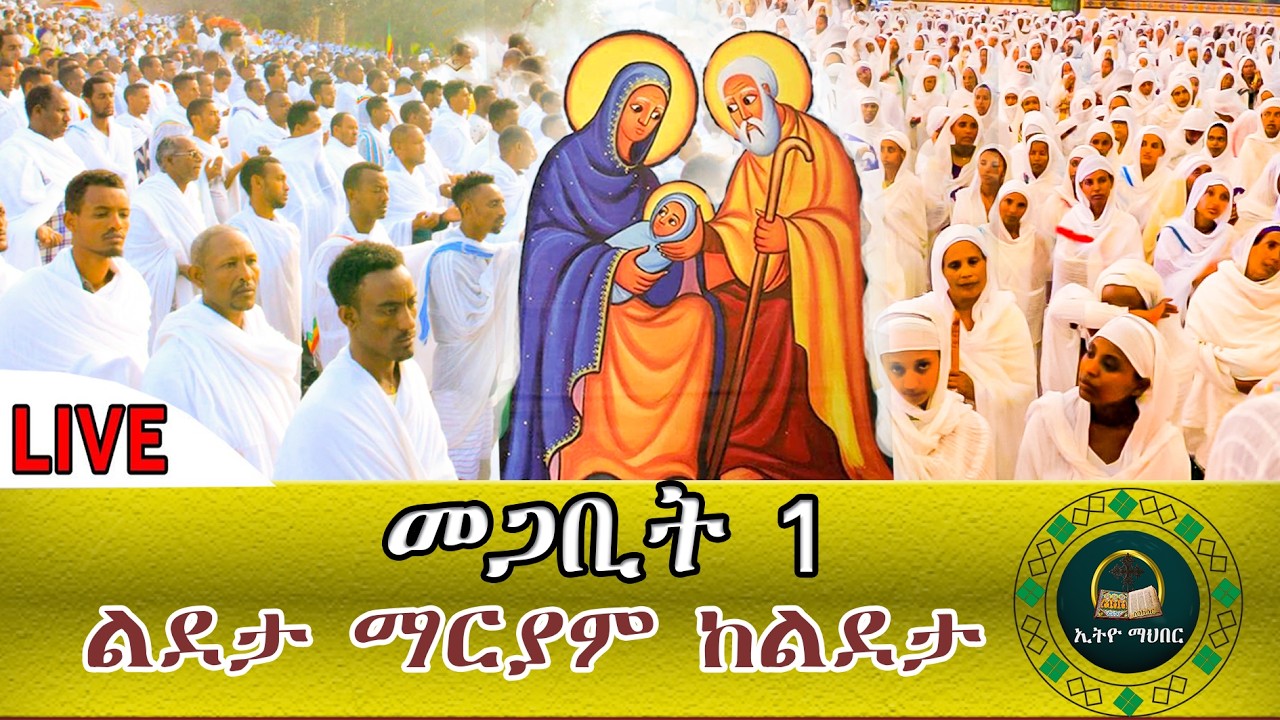 🔴LIVE #ልደታ_ማርያም‼️|መጋቢት 1ቀጥታ ከሜክሲኮ ልደታ ማርያም ቤተክርስቲያን  የእመቤታችን ቅድስት ድንግል ማርያም በረከቷም ከሁላችን ጋር ይኑር፤ አሜን፡