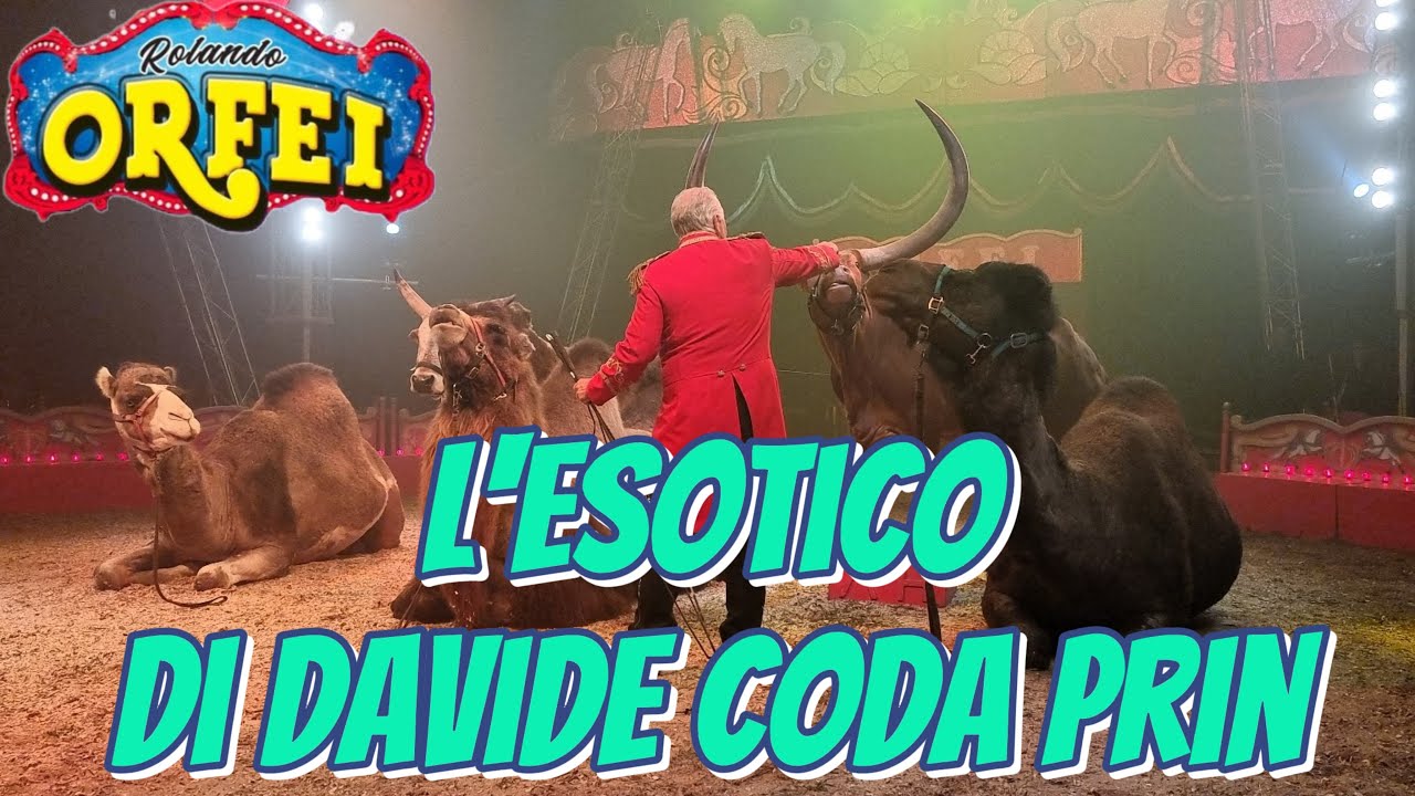 Circo Rolando Orfei, l'esotico di Davide Coda Prin. Monteforte Irpino, febbraio 2024