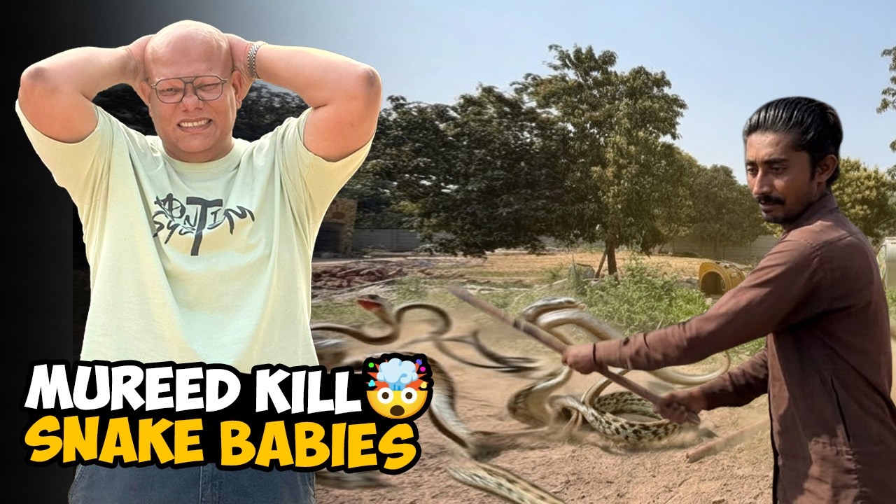 Mureed Ne Snake Ke Bachon Ko Jaan Se Maar Diya 😱🐍 | BT Farm Stories