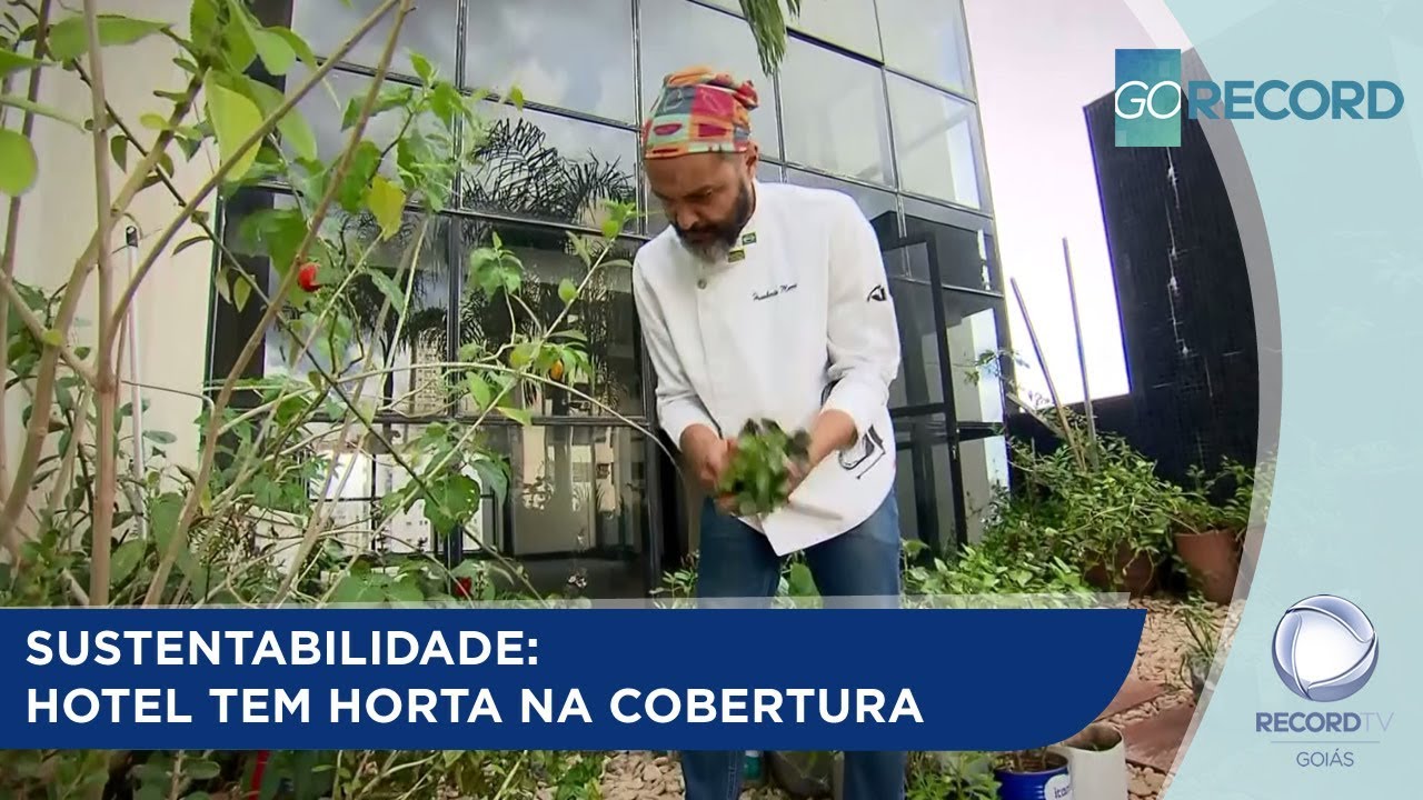 SUSTENTABILIDADE: HOTEL TEM HORTA NA COBERTURA