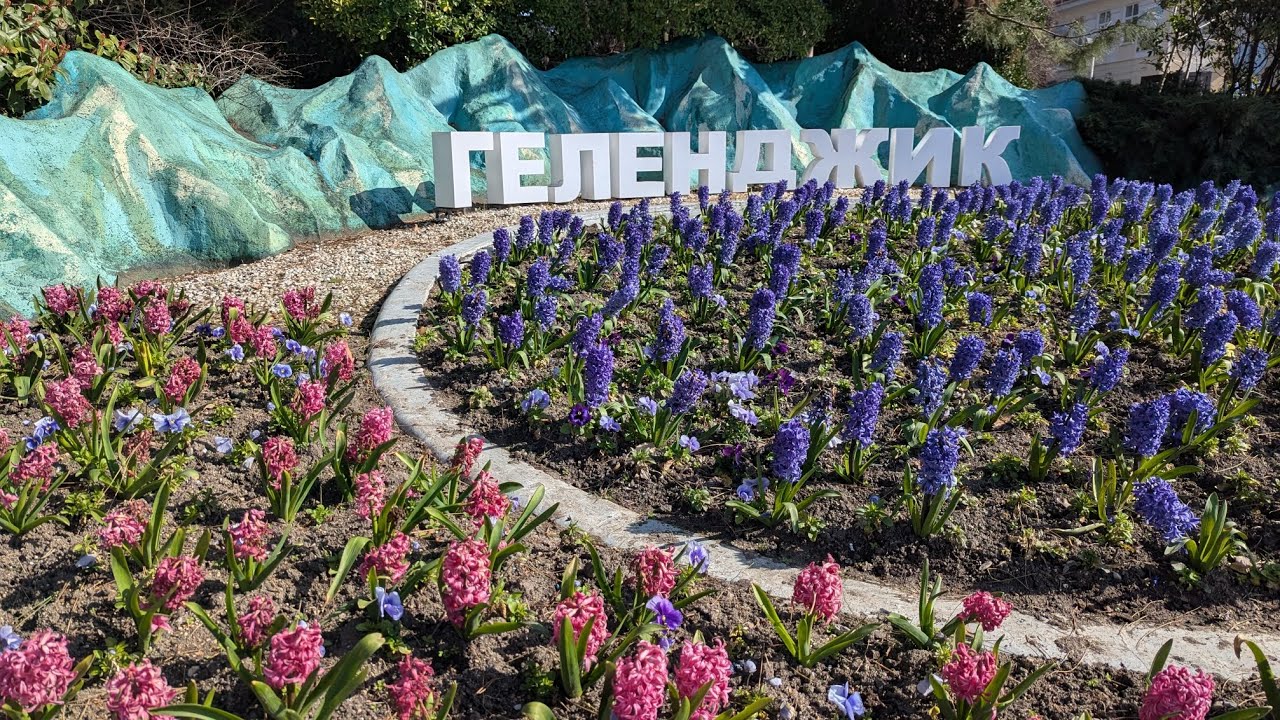 Геленджик 11 марта 2026 г.