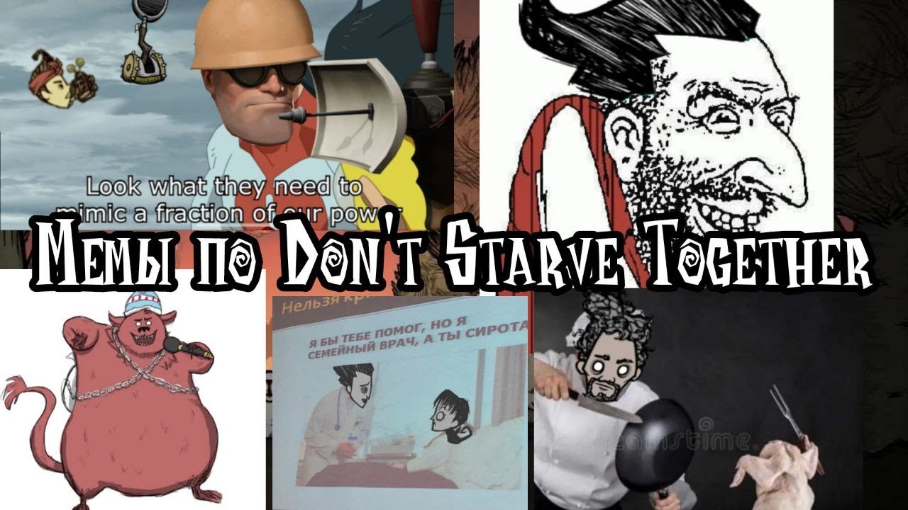 Мемы по Don't Starve Together 15