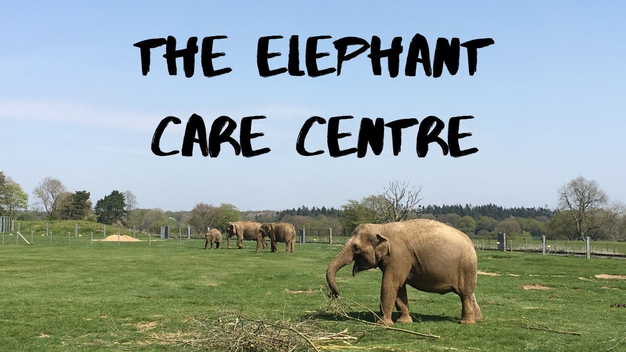 The Elephant Care Centre at ZSL Whipsnade Zoo