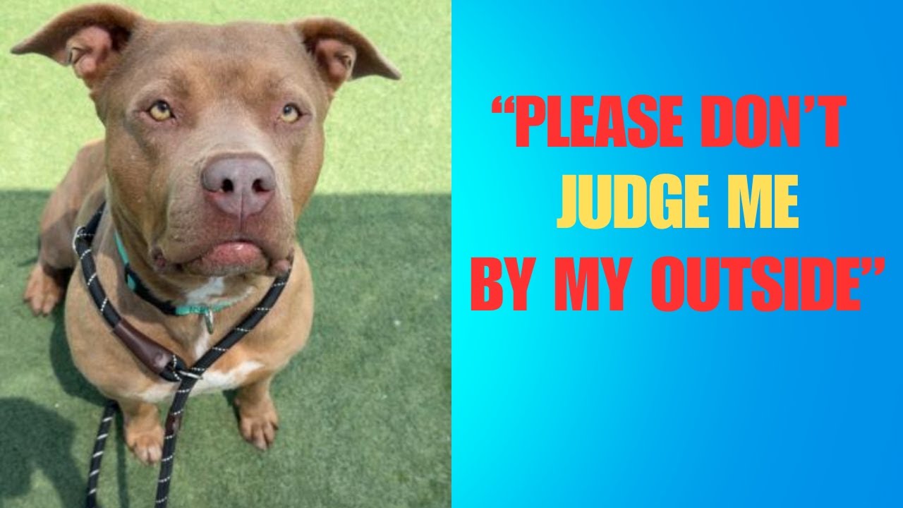 They Taunted Her Calling Dog “A Mean Mother F-ker!”