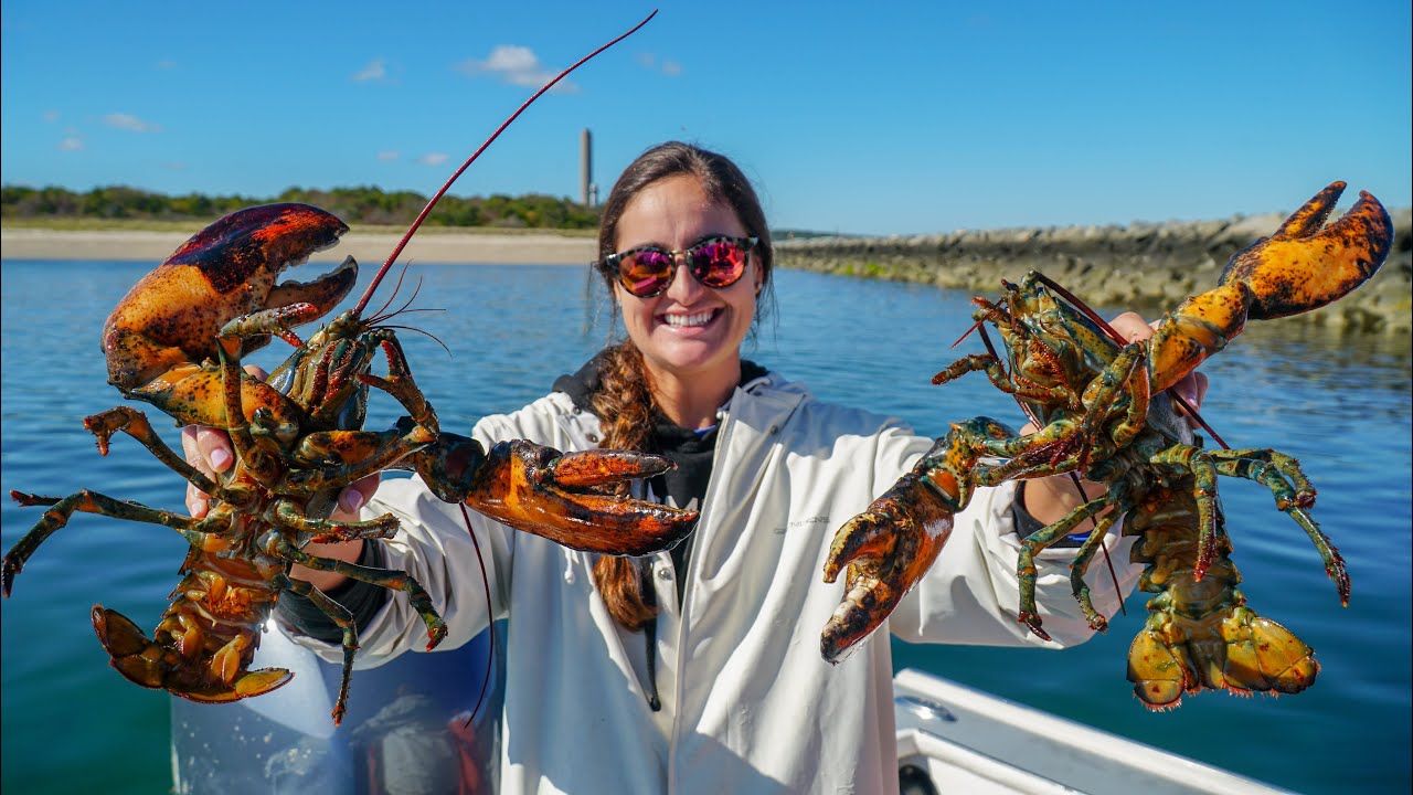 American LOBSTER CATCH Clean & COOK! Cape Cod, Massachusetts Lobster Rolls!