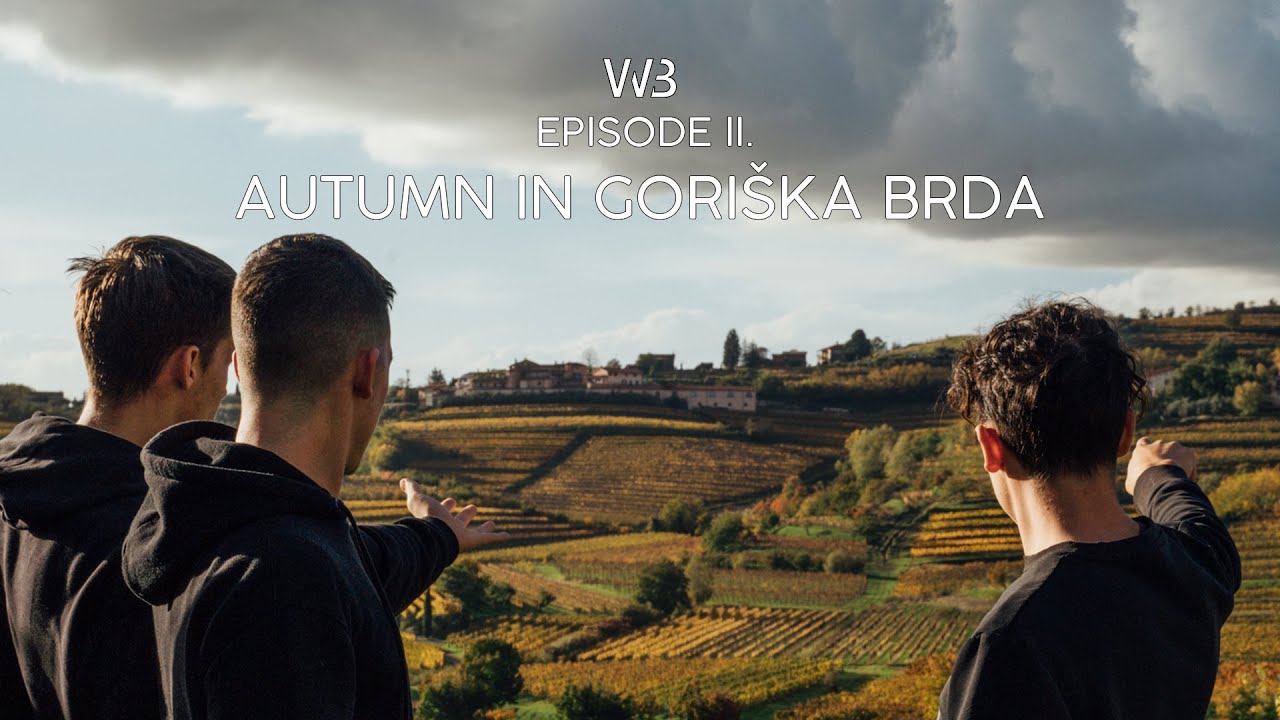 Autumn Colors in our Wine Region/Brda, Slovenia