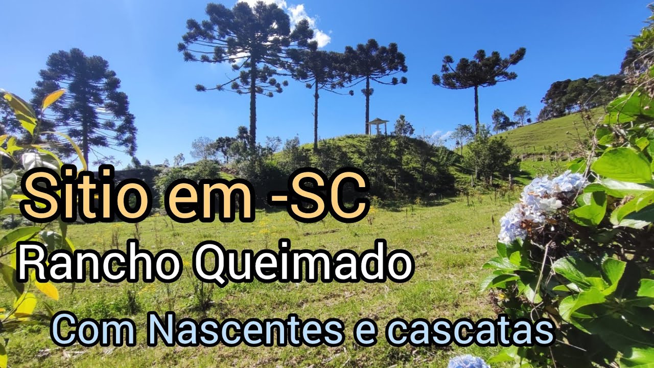 ** VENDIDO ** Sitio Rancho Queimado -SC. Com riachos nascentes  e cascatas. Ótimo acesso.