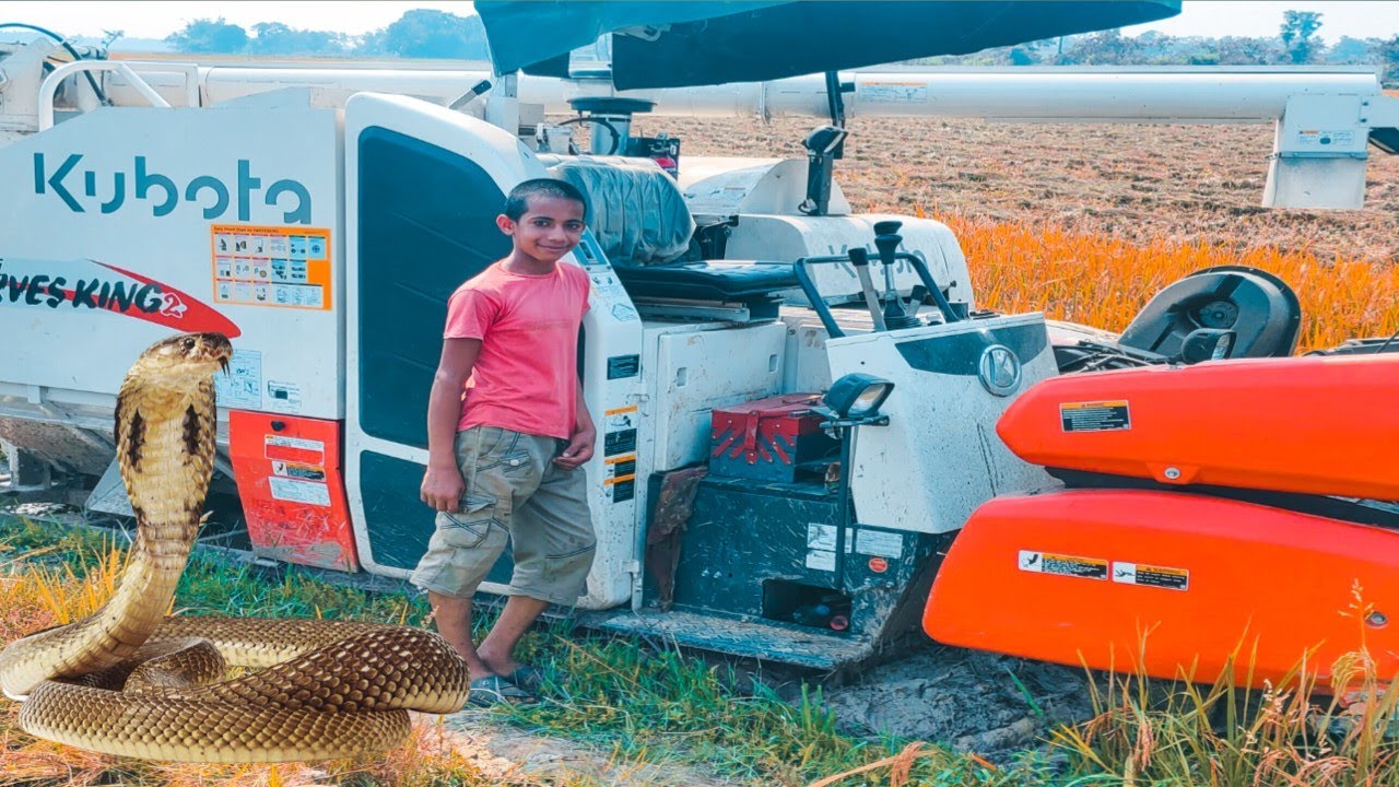 kubota Harvester Stuck in Deep Mud | Pulling by one other 4wd john dear tractor #kubota #harvester