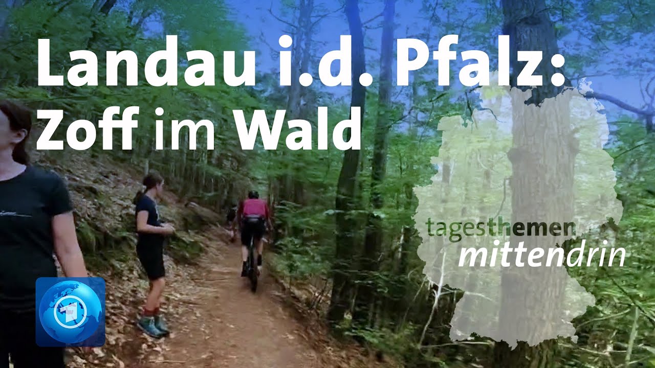 Landau in der Pfalz: Zoff im Wald
