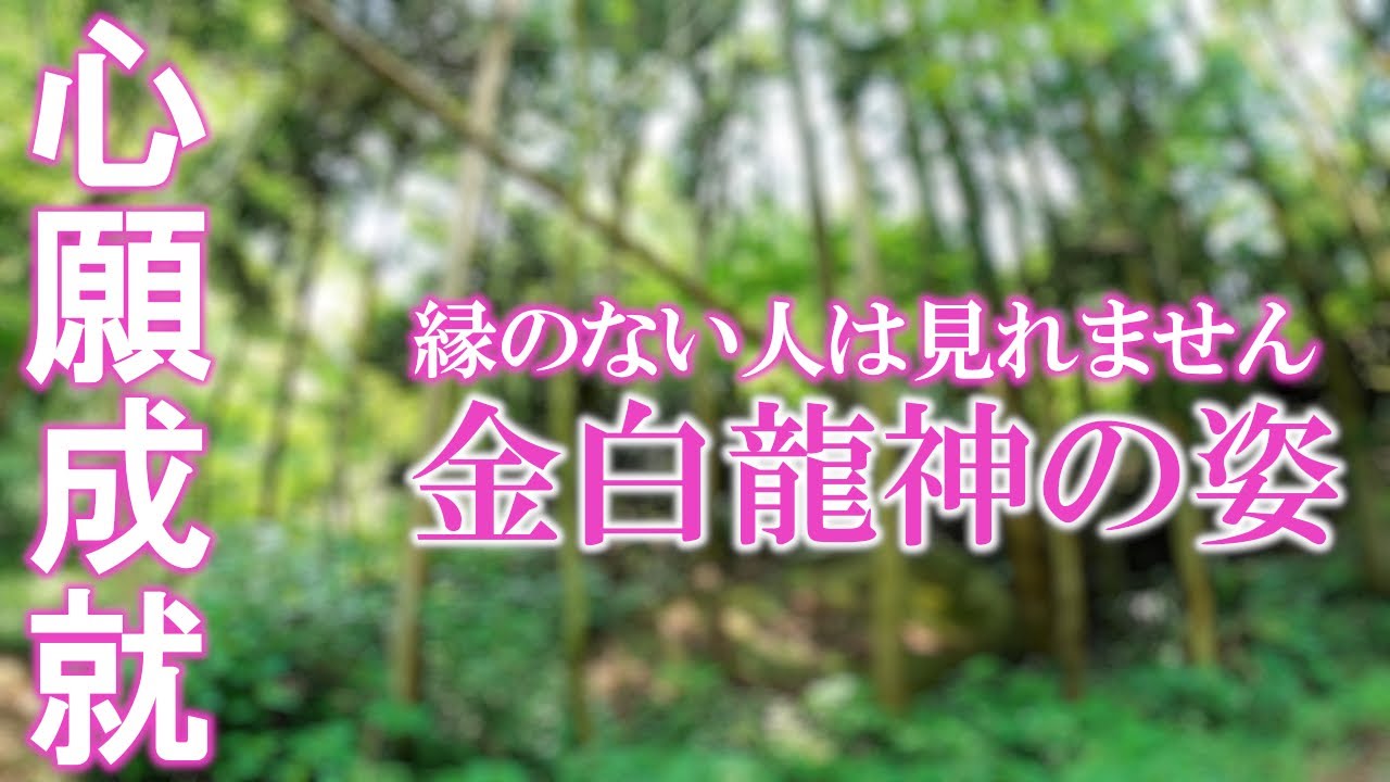 ⚠️神回※もし逃したら二度とありません※金白龍神様とたくさんの精霊が見れた人強運。雷神様・金白龍神様・白蛇神様(金運)の恩恵｜雷神社遠隔参拝151