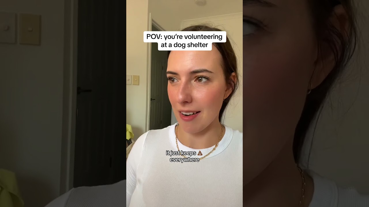 POV: You Volunteer At A Dog Shelter