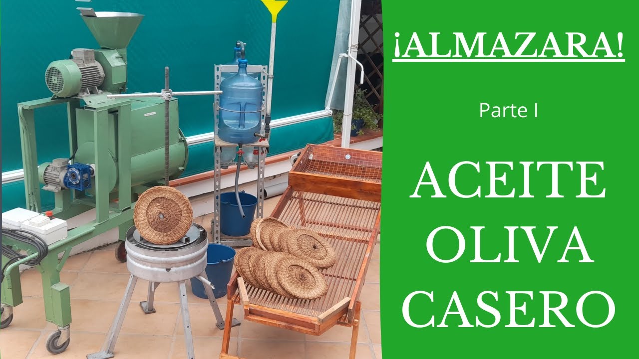 Aceite de oliva casero con maquinaria de creación propia (parte1)
