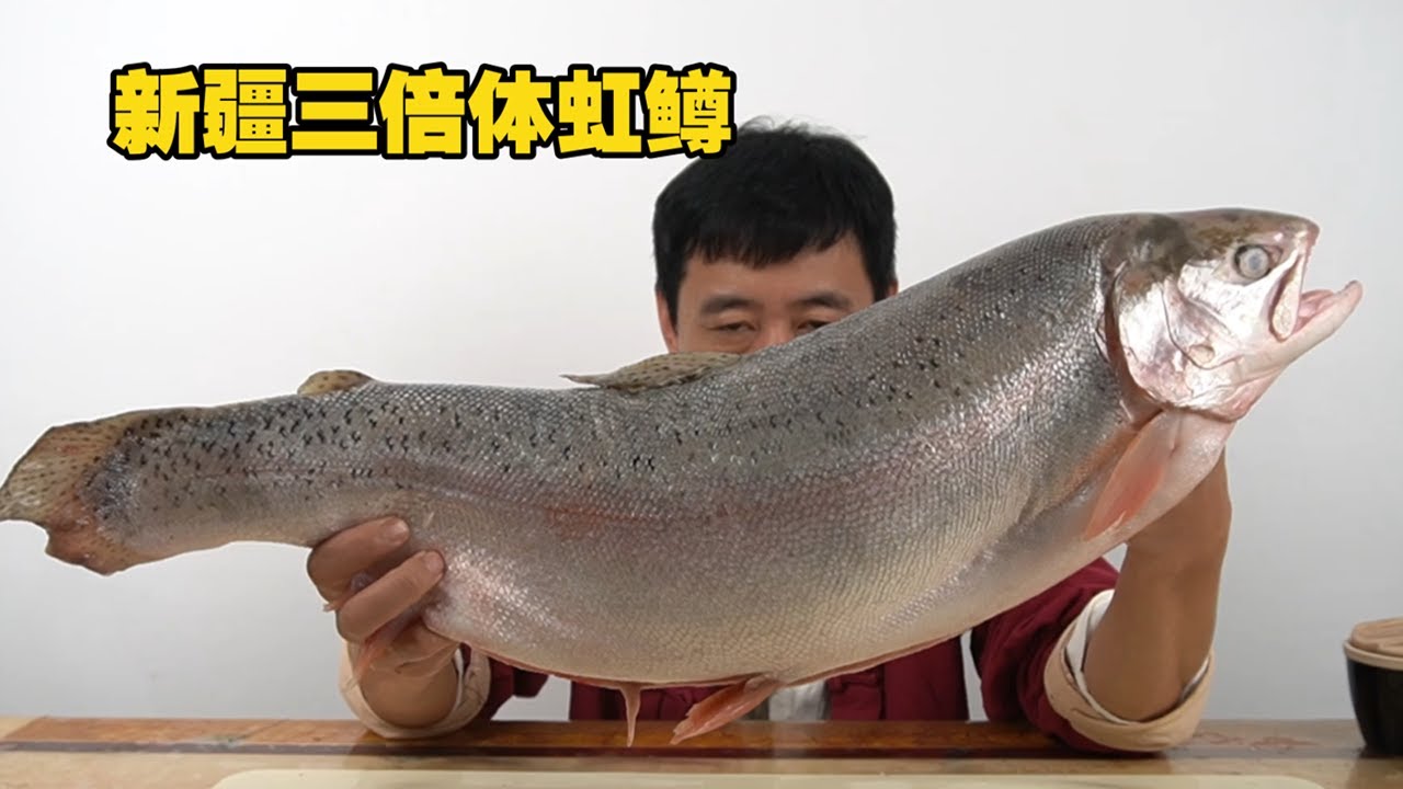 深度评测三倍体虹鳟与大西洋鲑鱼的差别