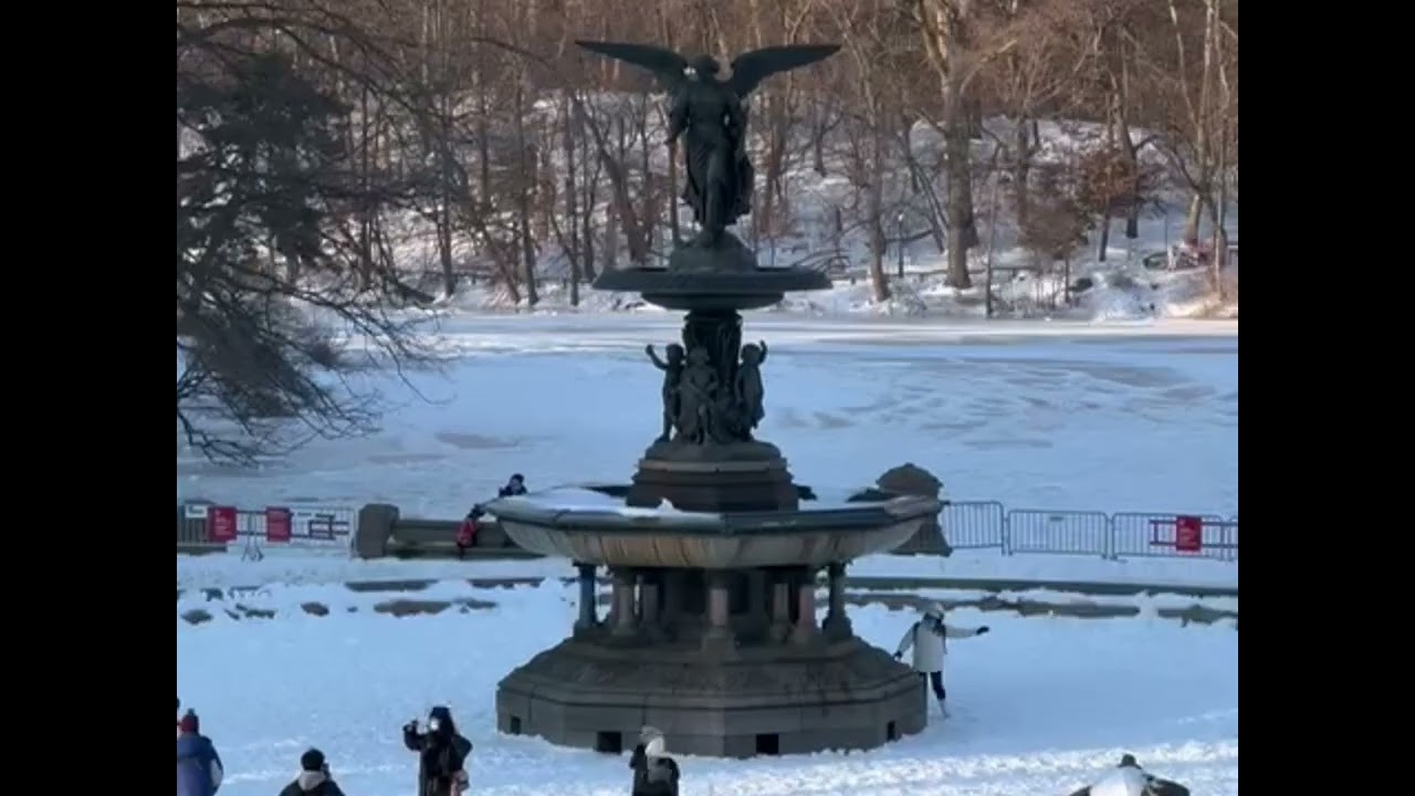 Magical Winter NYC Horse Drawn Carriage Ride in Central Park 
