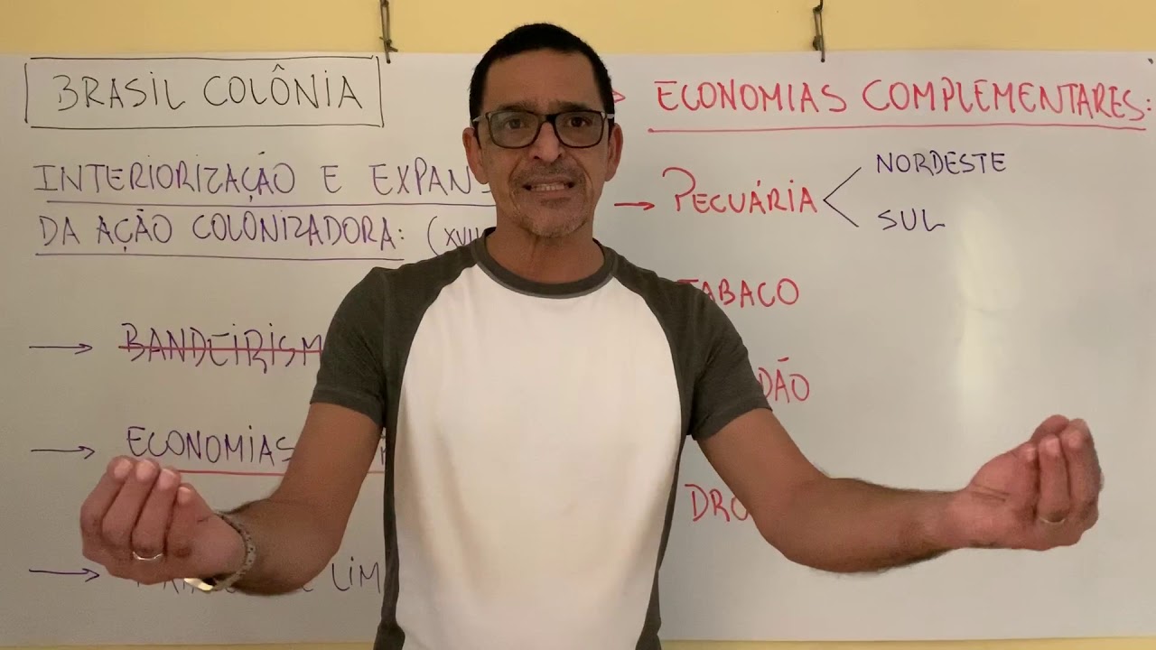 BRASIL COLÔNIA: ECONOMIAS COMPLEMENTARES - HISTÓRIA - PROF RONALDO FARIA