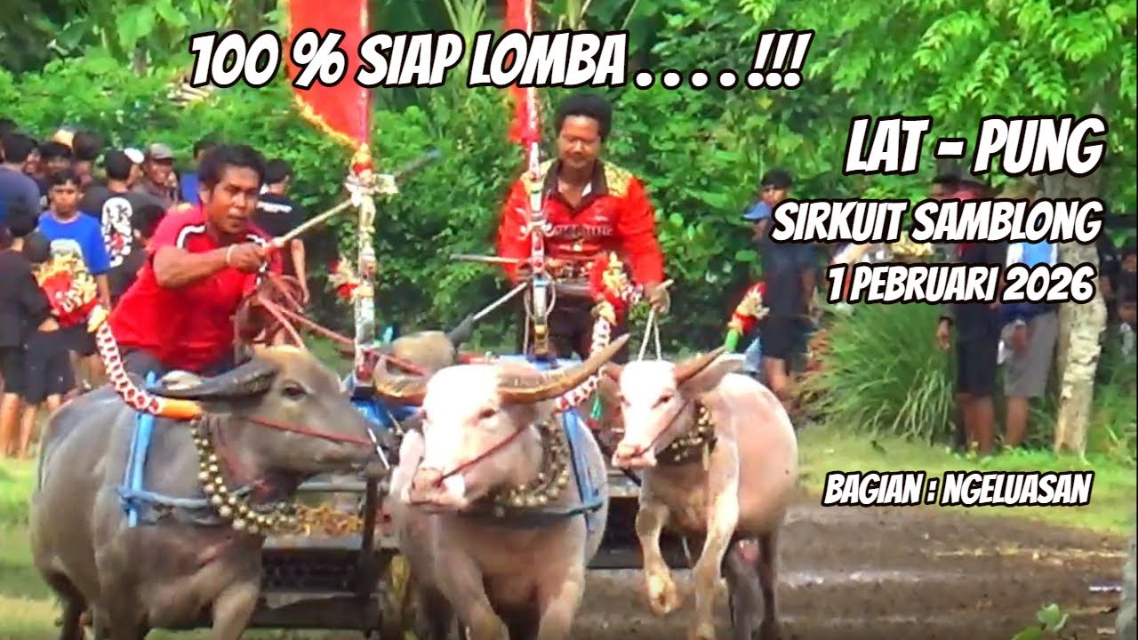 Bagian : Ngeluasan .. 100% Siap Lomba .. Latihan Mekepung di Sirkuit Samblong, 1 Pebruari 2026