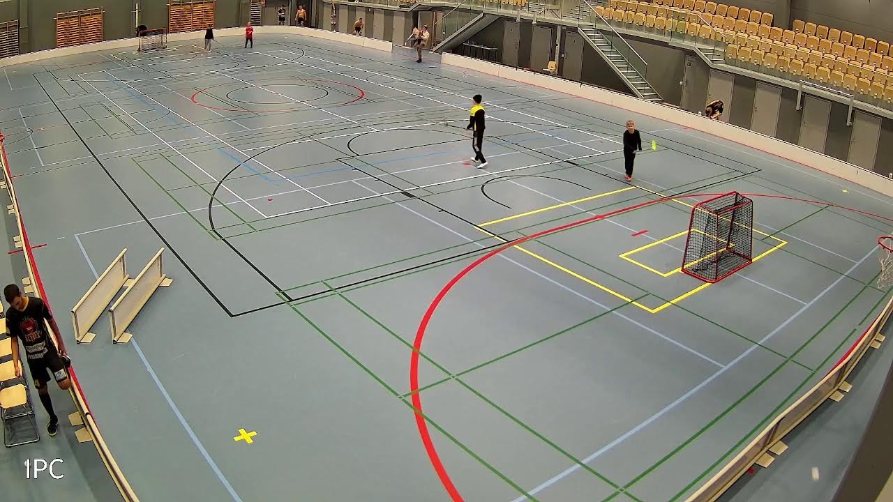 Iiski Kipa