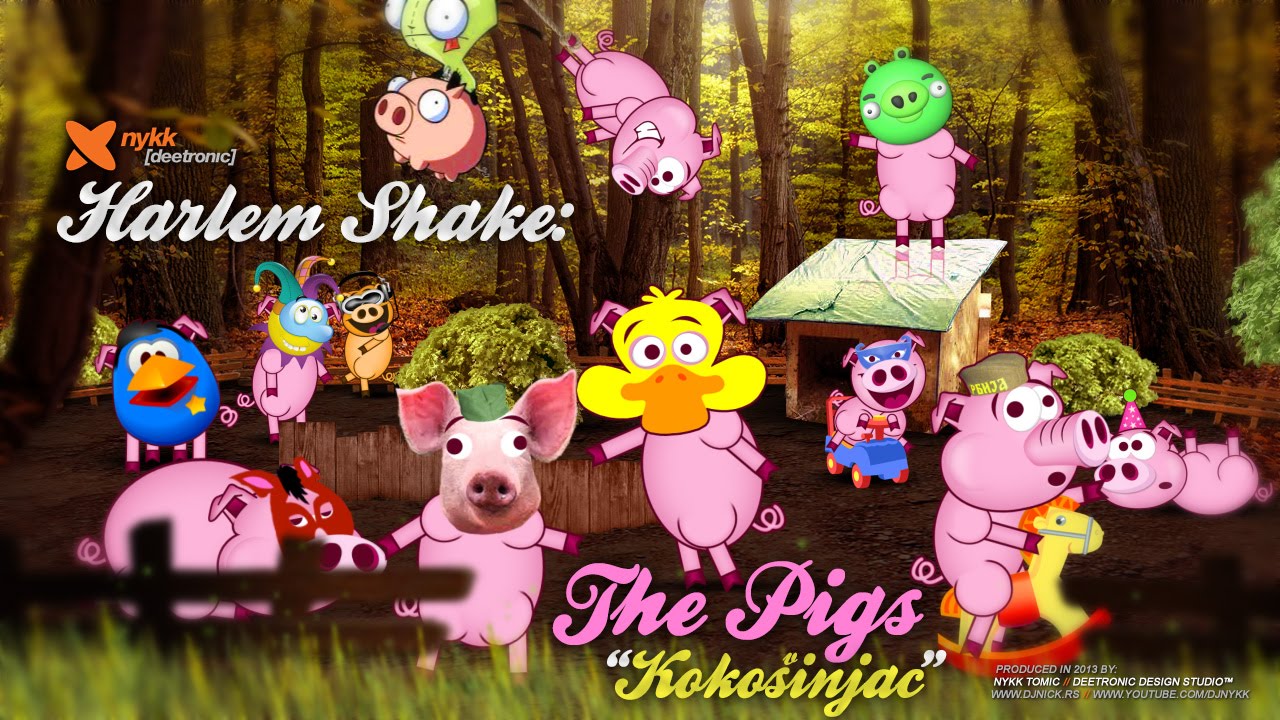 Harlem Shake The Pigs | Kokosinjac | Kokosvinjac | Chicken Coop