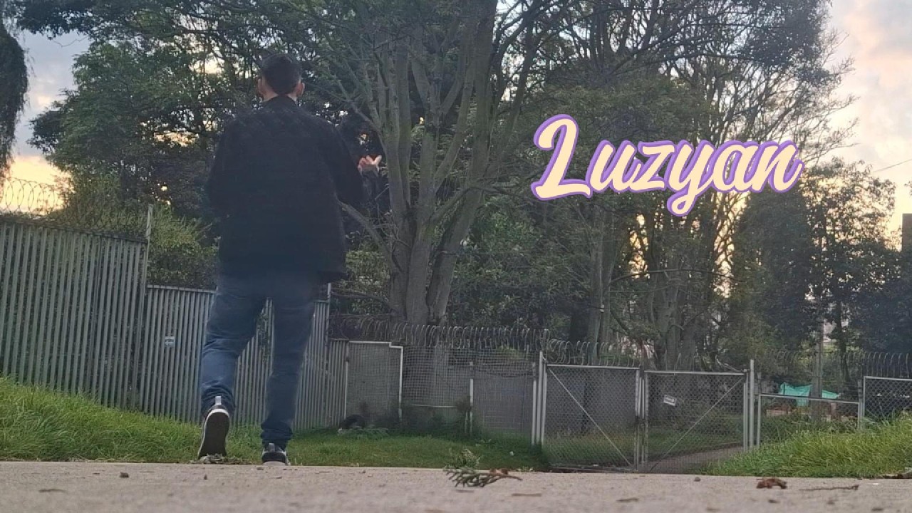 Aún sigo aquí - Luzyan