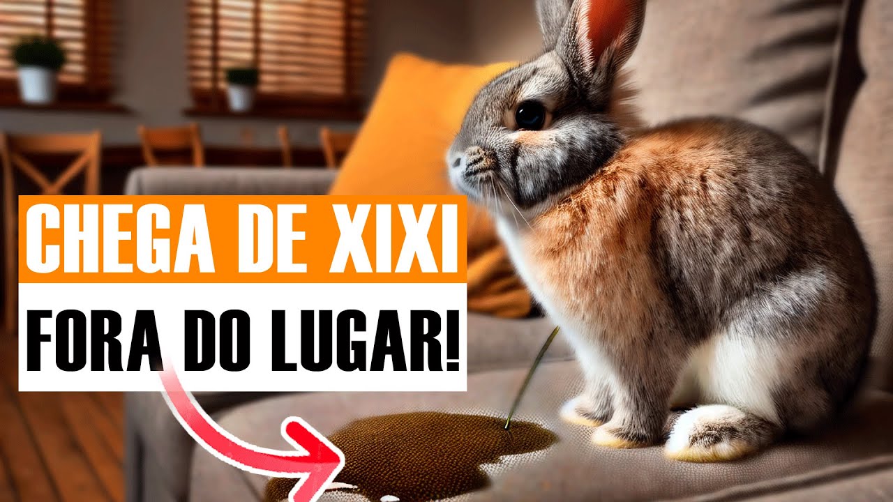 CHEGA DE XIXI NO SOFÁ E NA CAMA!