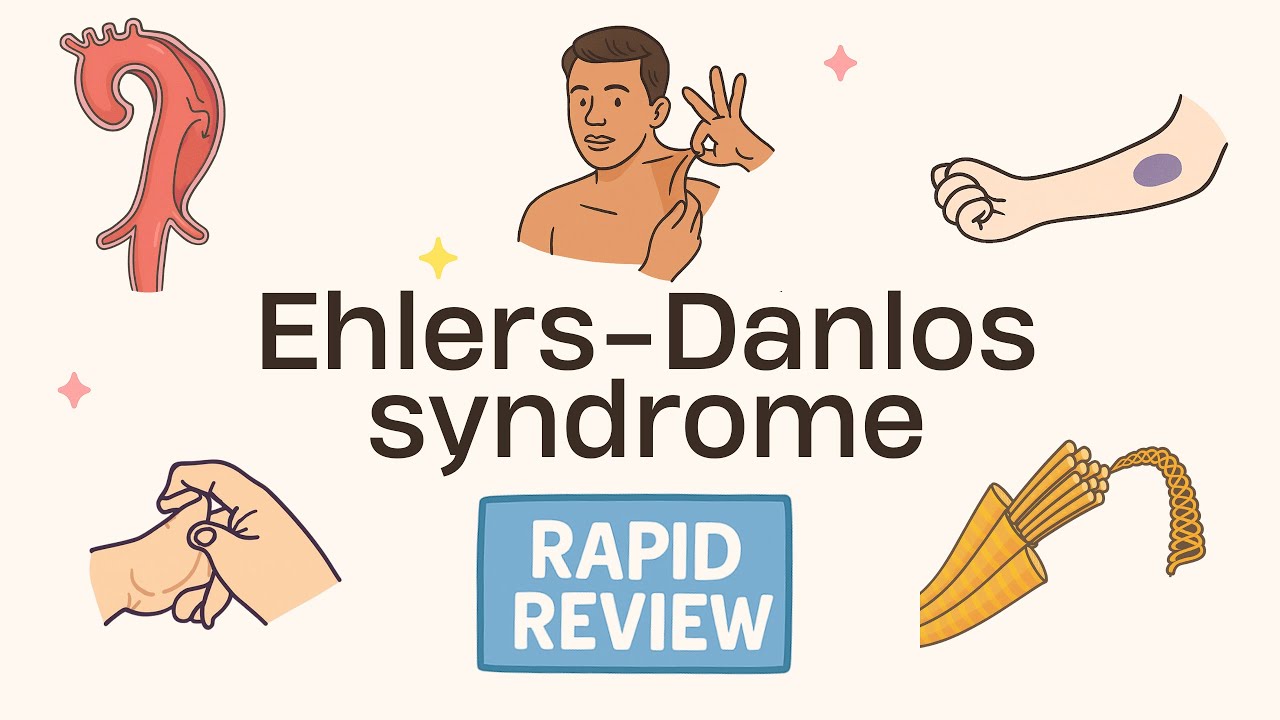 Rapid Review (28/175): Ehlers-Danlos syndrome