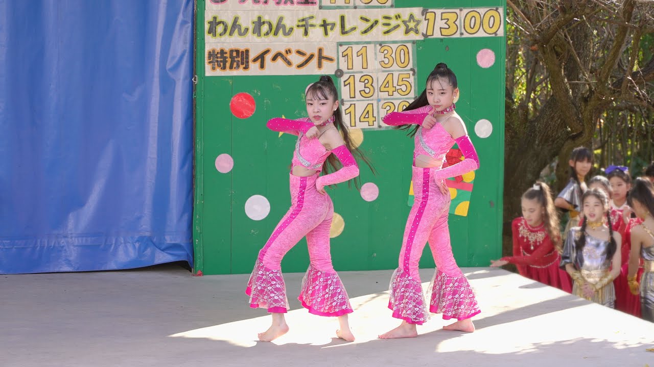 Dream Treasure☆Dance Studio ③  2024.12.1  栃木ダンスフェスティバル