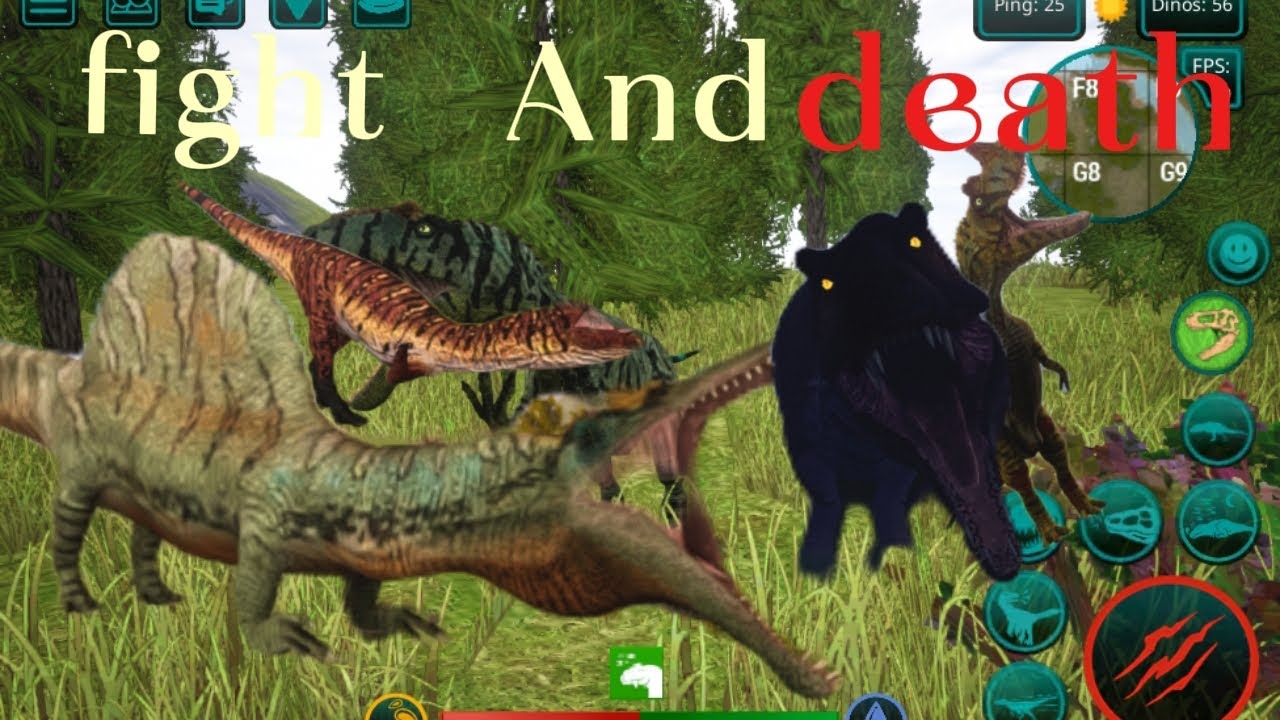 Dilo spino and allo survival