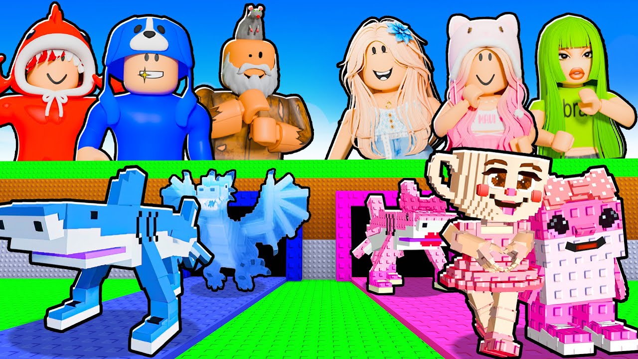 PINK vs BLUE In Steal A Brainrot!