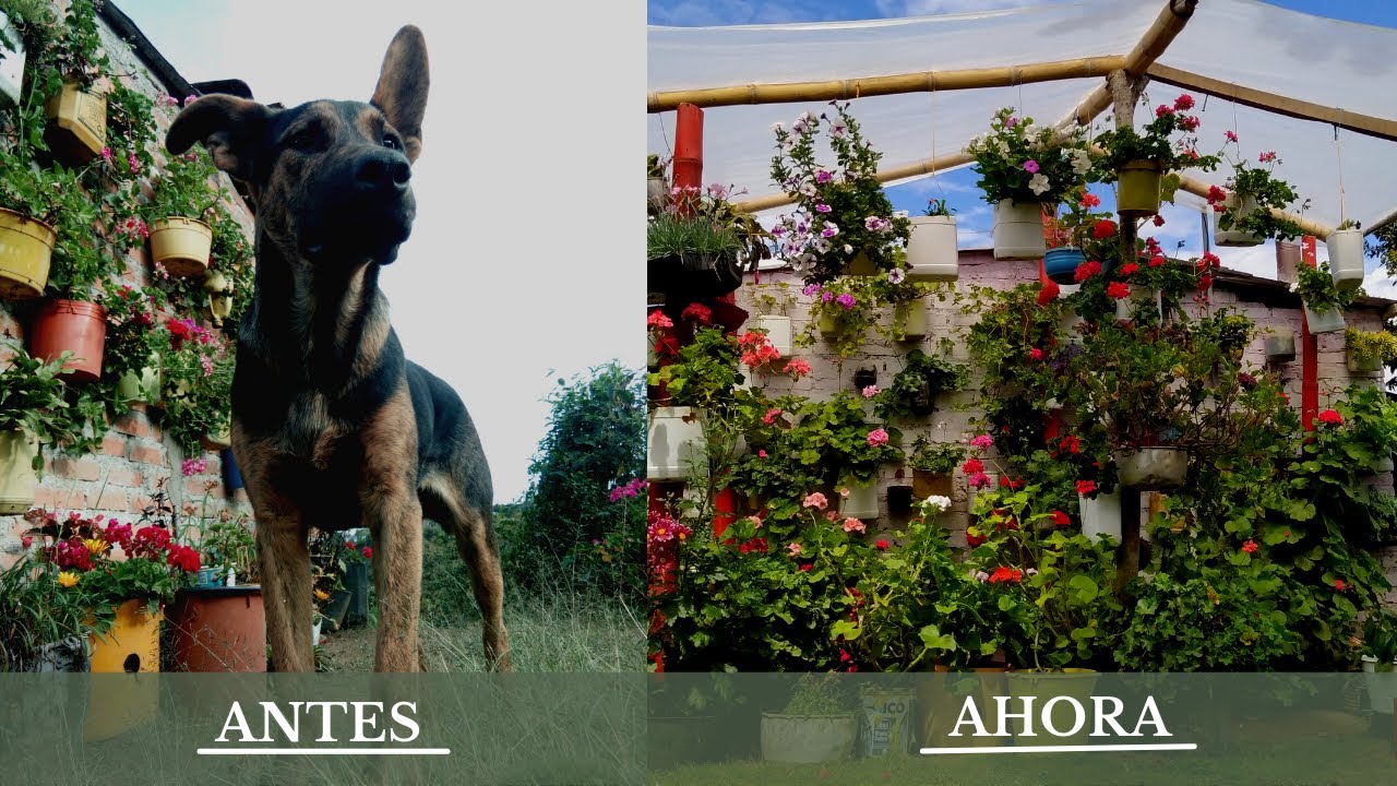 Te cuento todo sobre como inicie con mi Jardín - Como inicio todo | Jardín Diaz