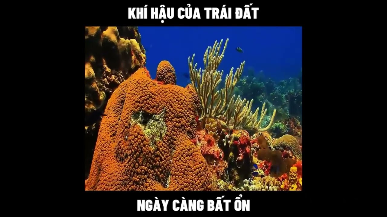 🌍 Khí Hậu Trái Đất Ngày Càng Bất Ổn – Điều Gì Đang Thực Sự Xảy Ra Với Hành Tinh Của Chúng Ta? ⚠️🔥