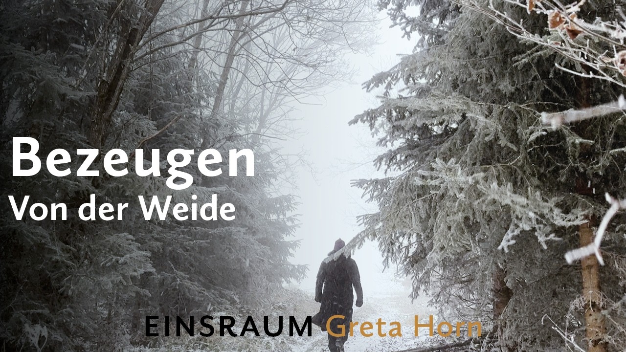 Bezeugen – die lebendige Schönheit der Erde und den Schmerz um ihr Sterben I Einsraum