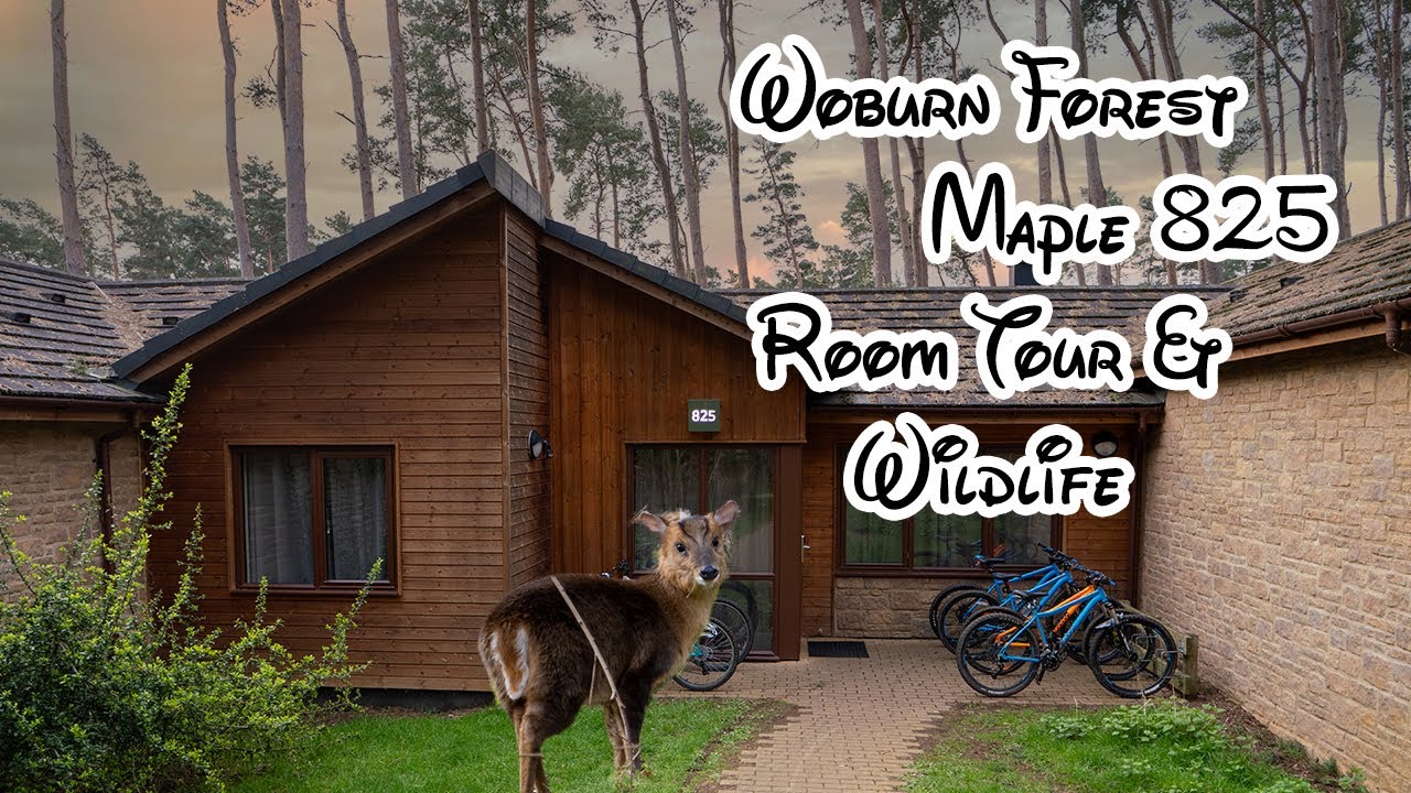 Center Parcs | Woburn Forest Vlog - Maple 825 Room Tour 