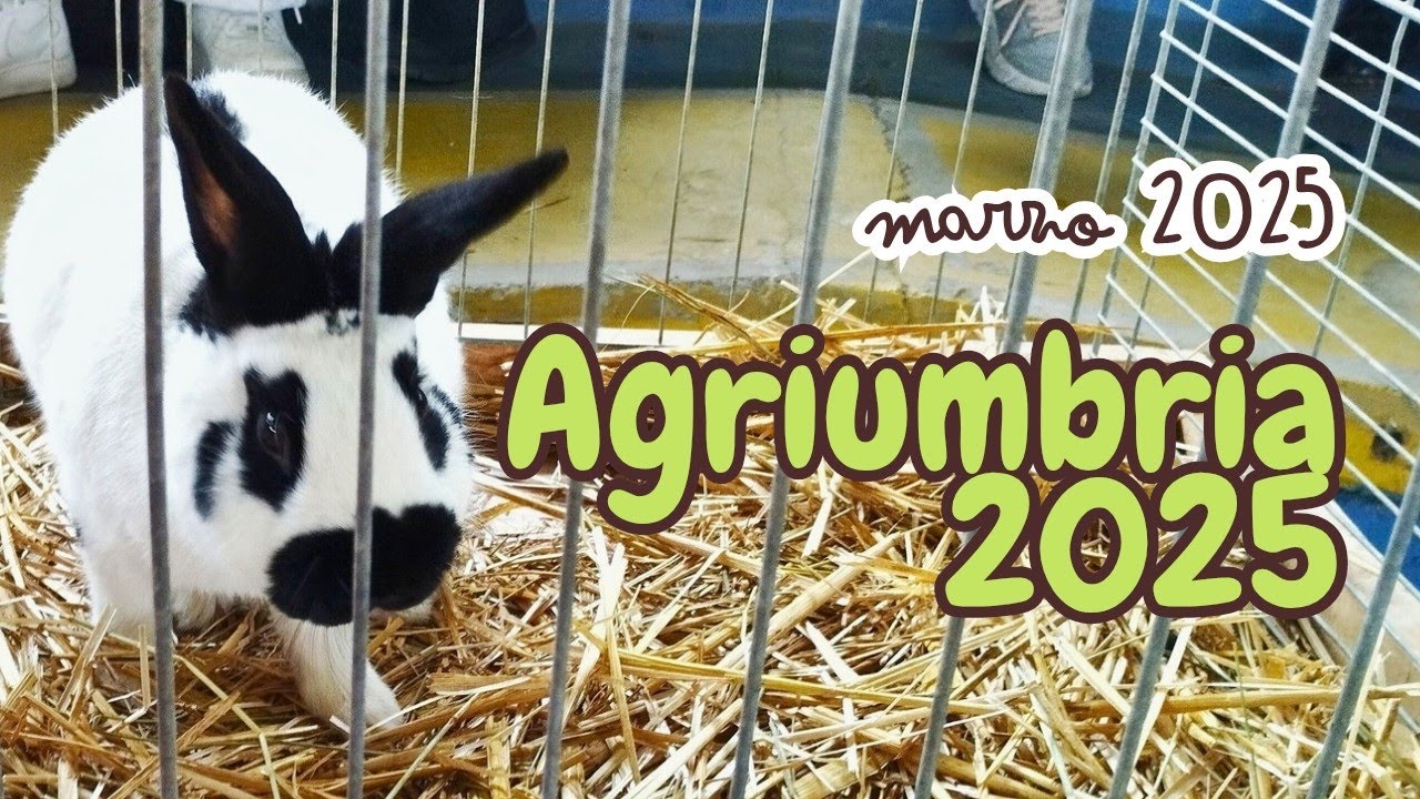 Agriumbria 2025 - La fiera dell'agricoltura di Bastia Umbra