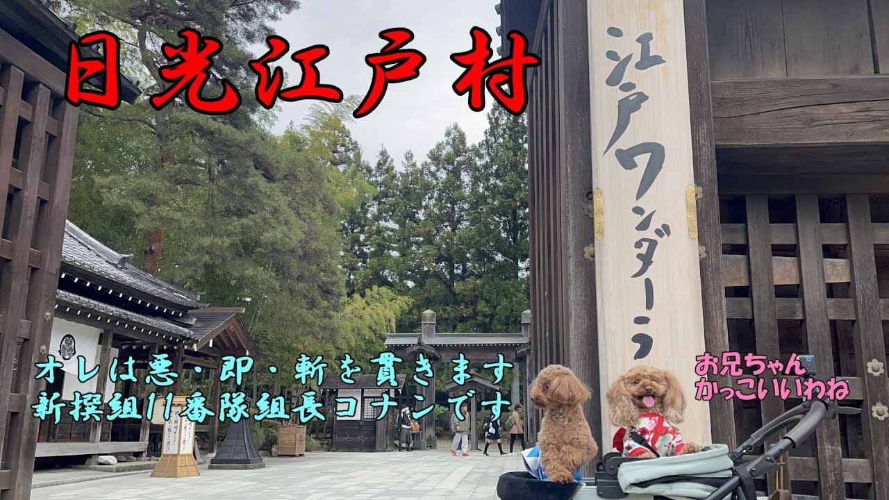 【江戸ワンダーランド 日光江戸村】江戸時代へタイムスリップ！ わんこと一緒に江戸時代を体感できるカルチュラルパーク 栃木県日光市  ワンコと栃木県日光・鬼怒川を巡る二泊三日の旅  第三弾