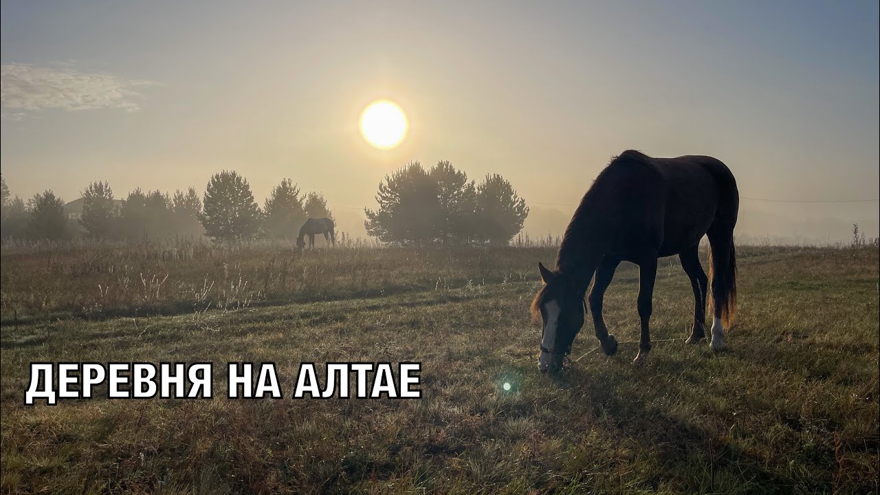 Жизнь С Лошадьми в Деревне на Алтае | Ranch in Russia | Altay Village with horses
