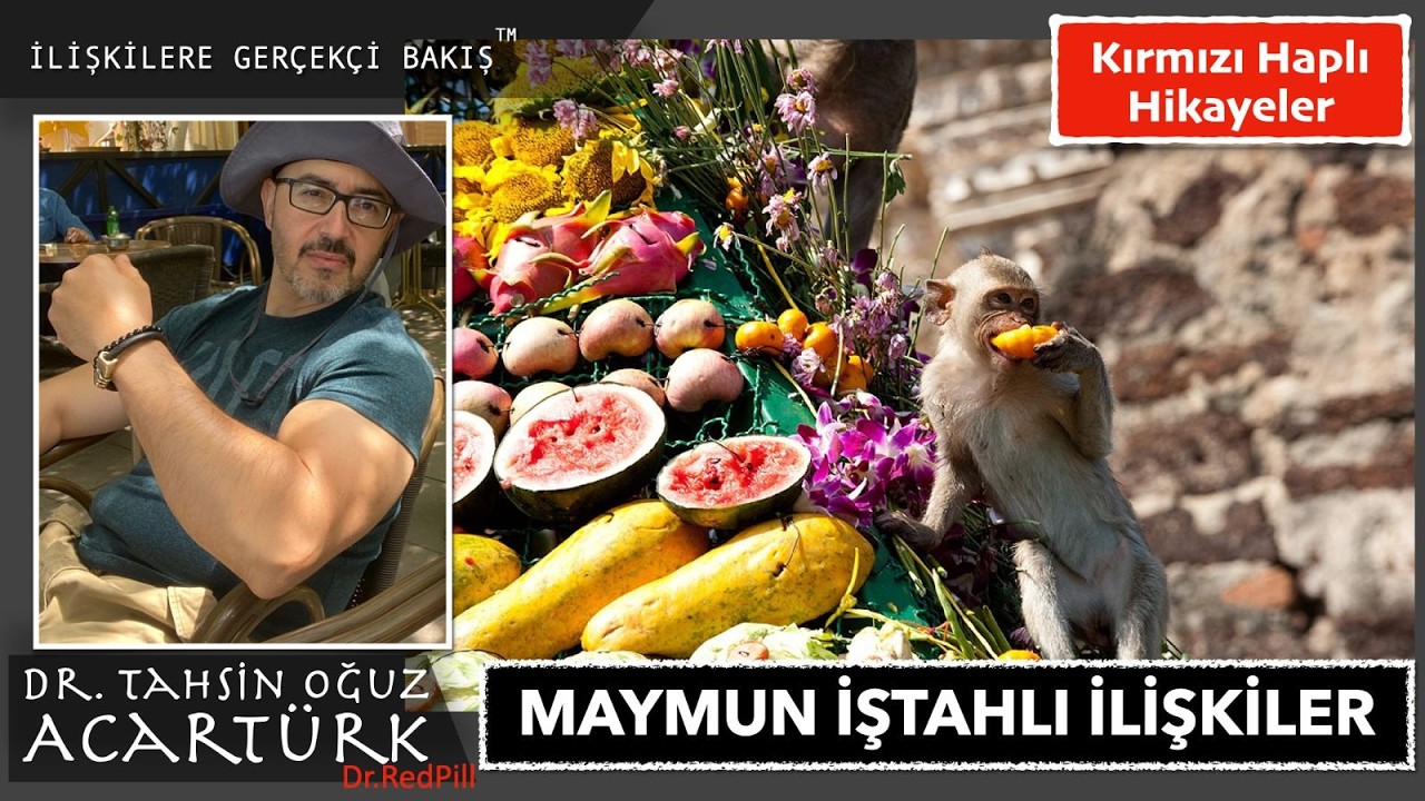 Kırmızı Haplı Hikayeler / Maymun İştahlı İlişkiler  (S007) | Dr.TOA Videolar
