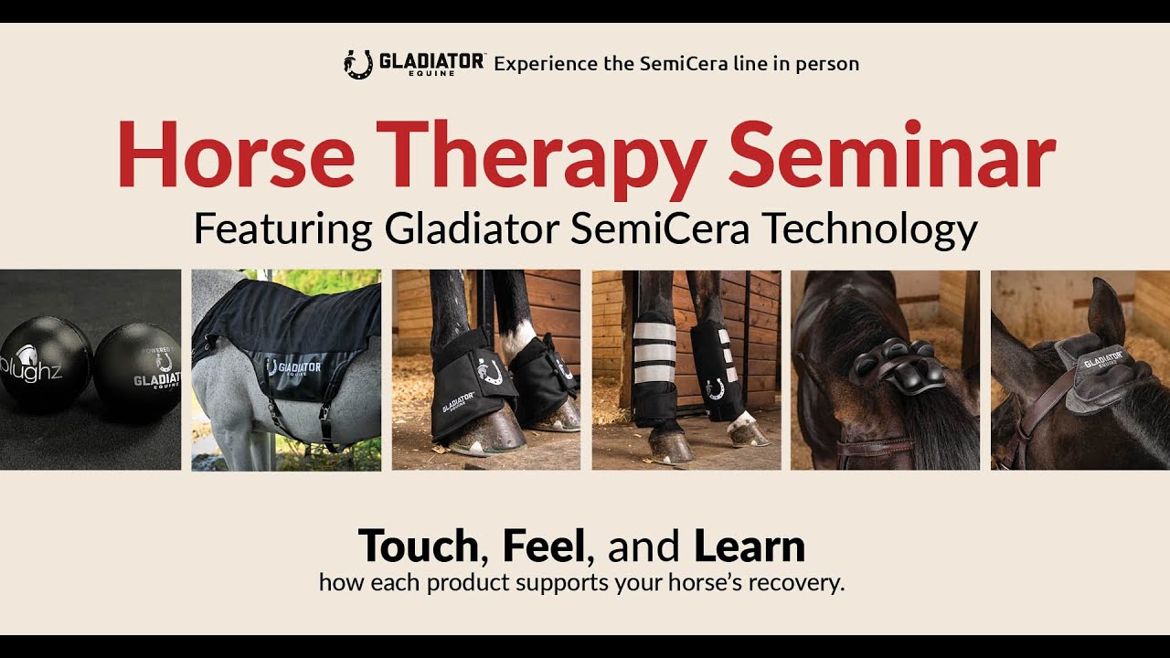 Gladiator Horse Therapy Seminar