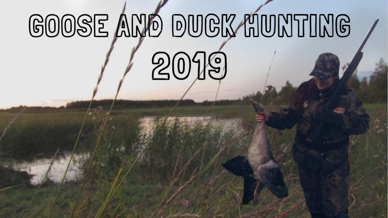 HANHI- JA SORSAJAHTI 2019 | GOOSE AND DUCK HUNTING IN FINLAND 2019 | Full video