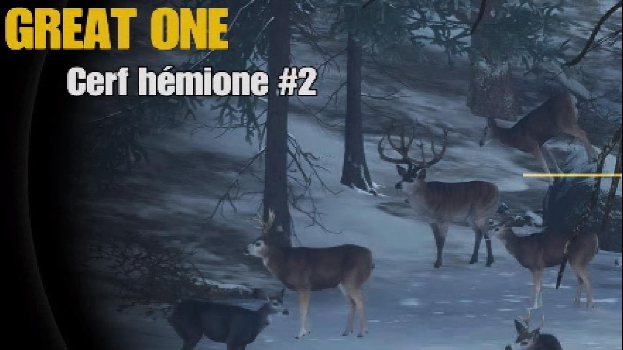 Great One Cerf hémione #2, date et espèces de la prochaine map ! - The Hunter call of the wild