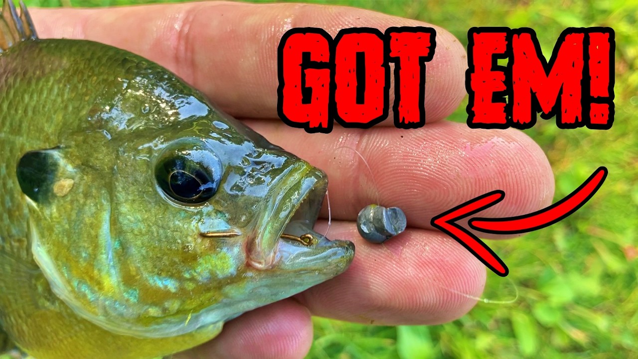 How to Make a Split Shot Rig for Panfish | Best Bluegill & Crappie Rigs