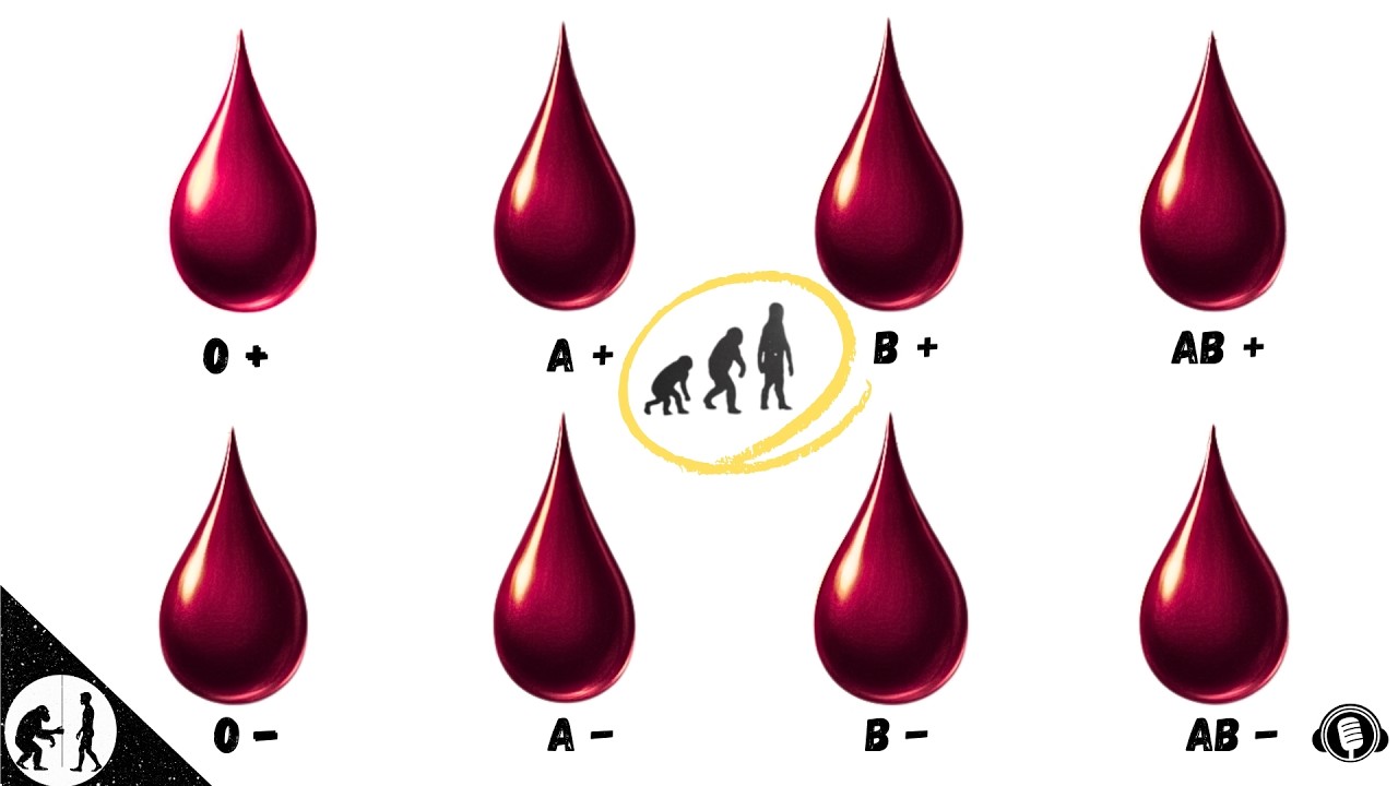 The Hidden Story in Your Blood | What Your Blood Type Really Reveals About Survival
