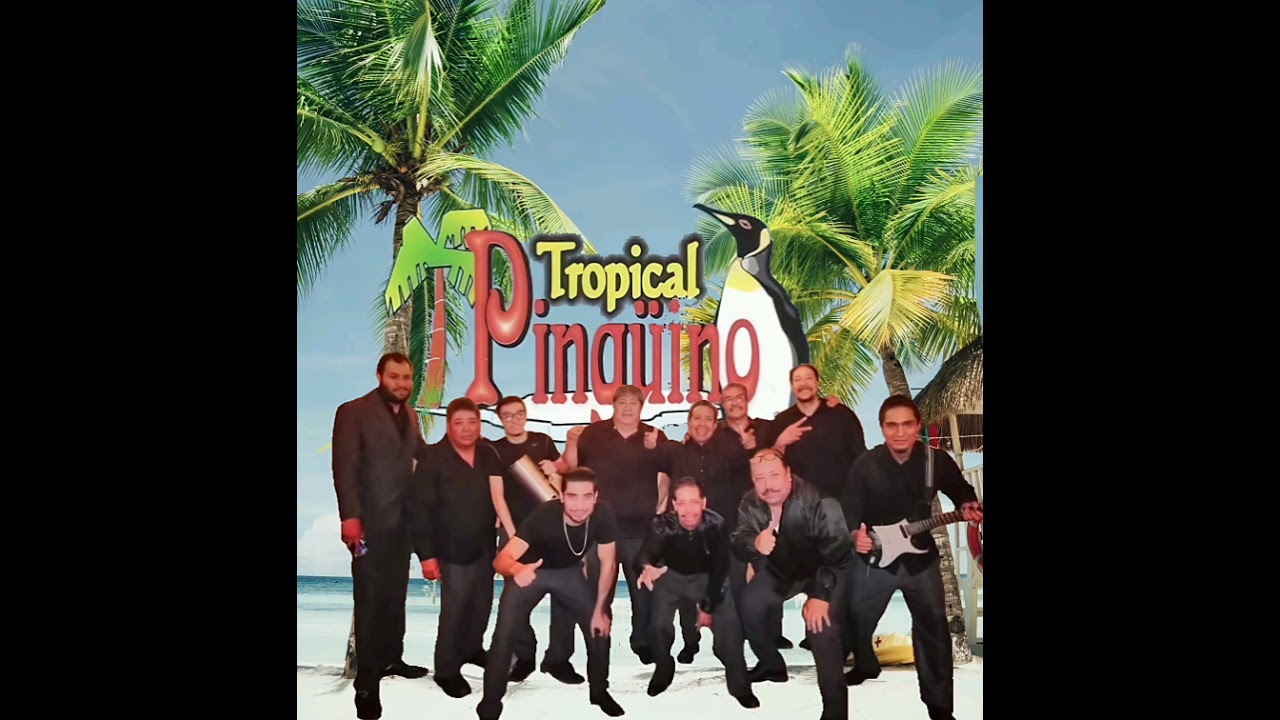 Tropical Pingüino En Vivo 