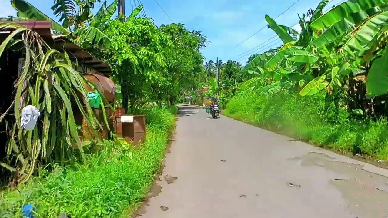 🌤️ RAMADAN 1447 H SIANG CERAH 🌉 Pituruh – Pecarikan | Lewat Jembatan Merden Rawan Rusak & Banjir! ⚠️