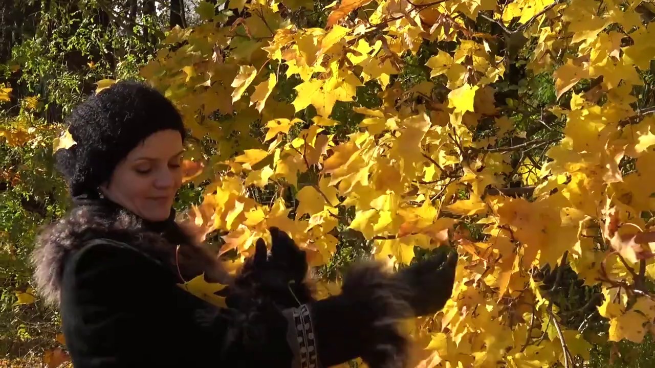 Tule läbi sügise - autor ja esitaja Peep Puis, video Rein Lepik