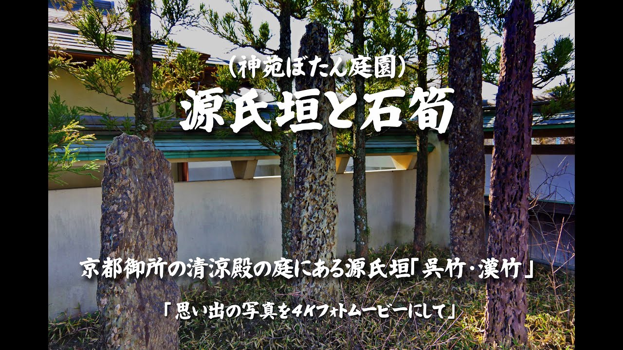 源氏垣と石筍（神苑ぼたん庭園）京都御所の清涼殿の庭にある源氏垣「呉竹・漢竹」４Ｋ