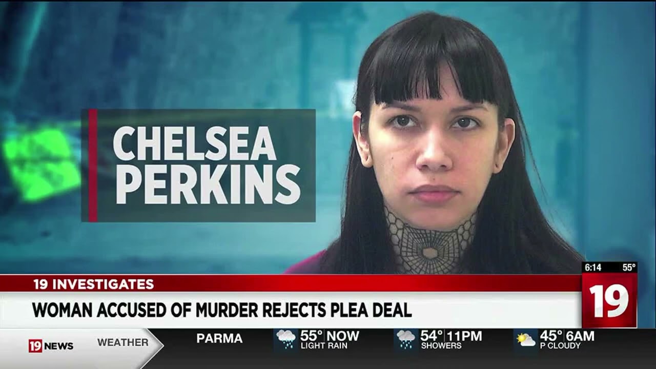 GUILTY: Chelsea Perkins AKA Selena Savage drove 300 miles to Ohio to get revenge on Matthew Dunmire