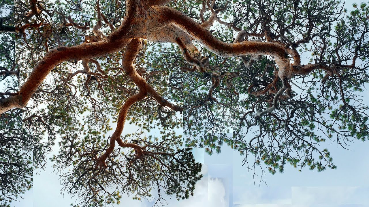 See the remote Norwegian landscapes that inspire artist Espen Tollefsen&rsquo;s work