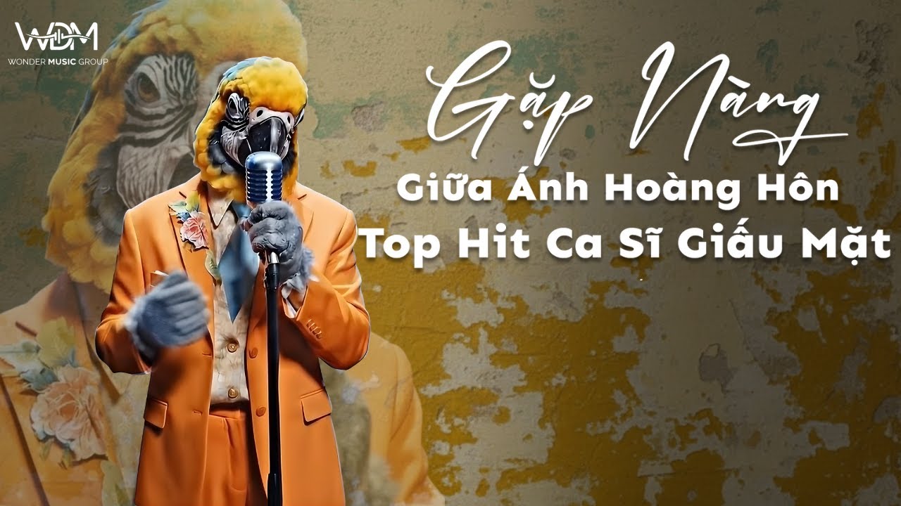 Tổng Hợp Các Bài Hot Ca Sĩ Giấu Mặt Triệu View | Gặp Nàng Giữa Ánh Hoàng Hôn, Gió,..  | WDM