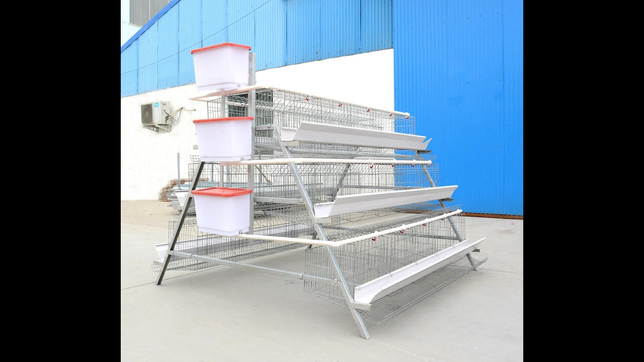 Layer Poultry Cage Installation